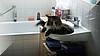 cats_04.JPG
